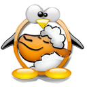 Penguin pingouin pinguino 27